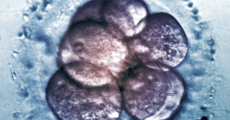 Coopersurgical's Botched Ivf Liquid Destroyed Embryos, Lawsuits
