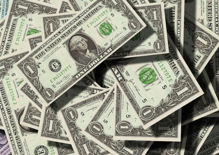 Diversification 101: How Portfolio Management Can Reduce Risk